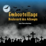 Cover de la chanson Embouteillage Boulevard des Allongés